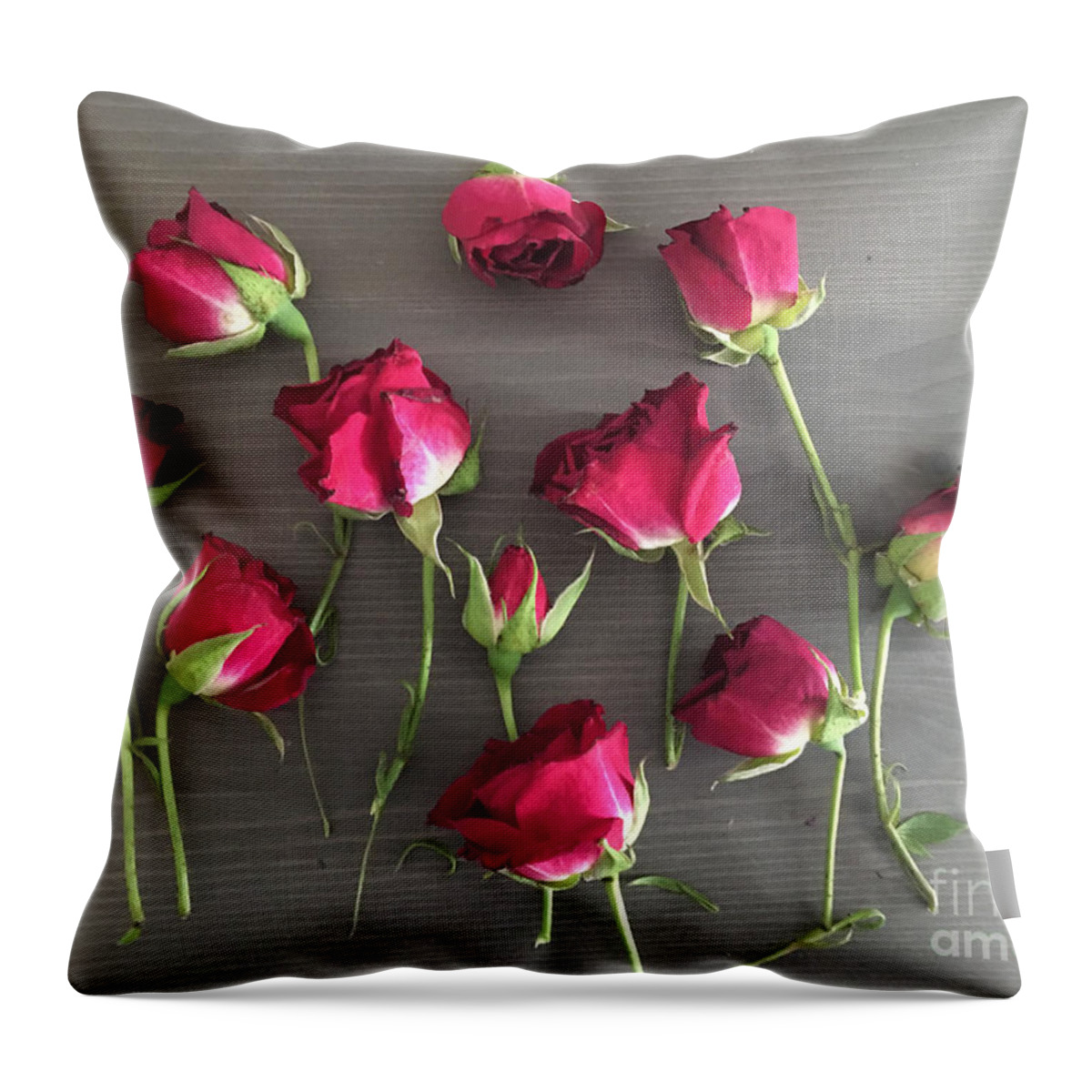 Roses Throw Pillow featuring the photograph Roses on Wood by Francis Smith Brown