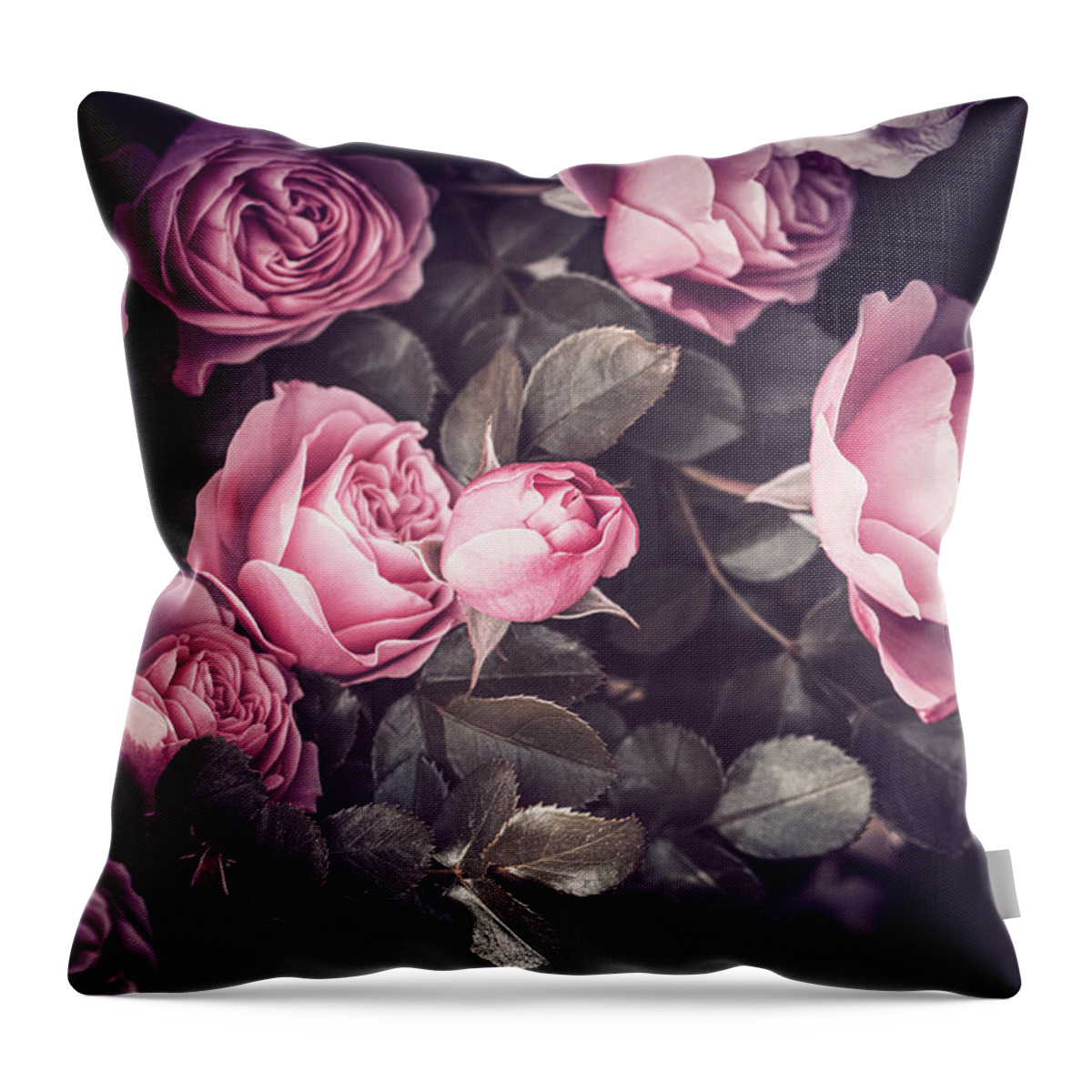 Roses Throw Pillow featuring the photograph Roses by Philippe Sainte-Laudy