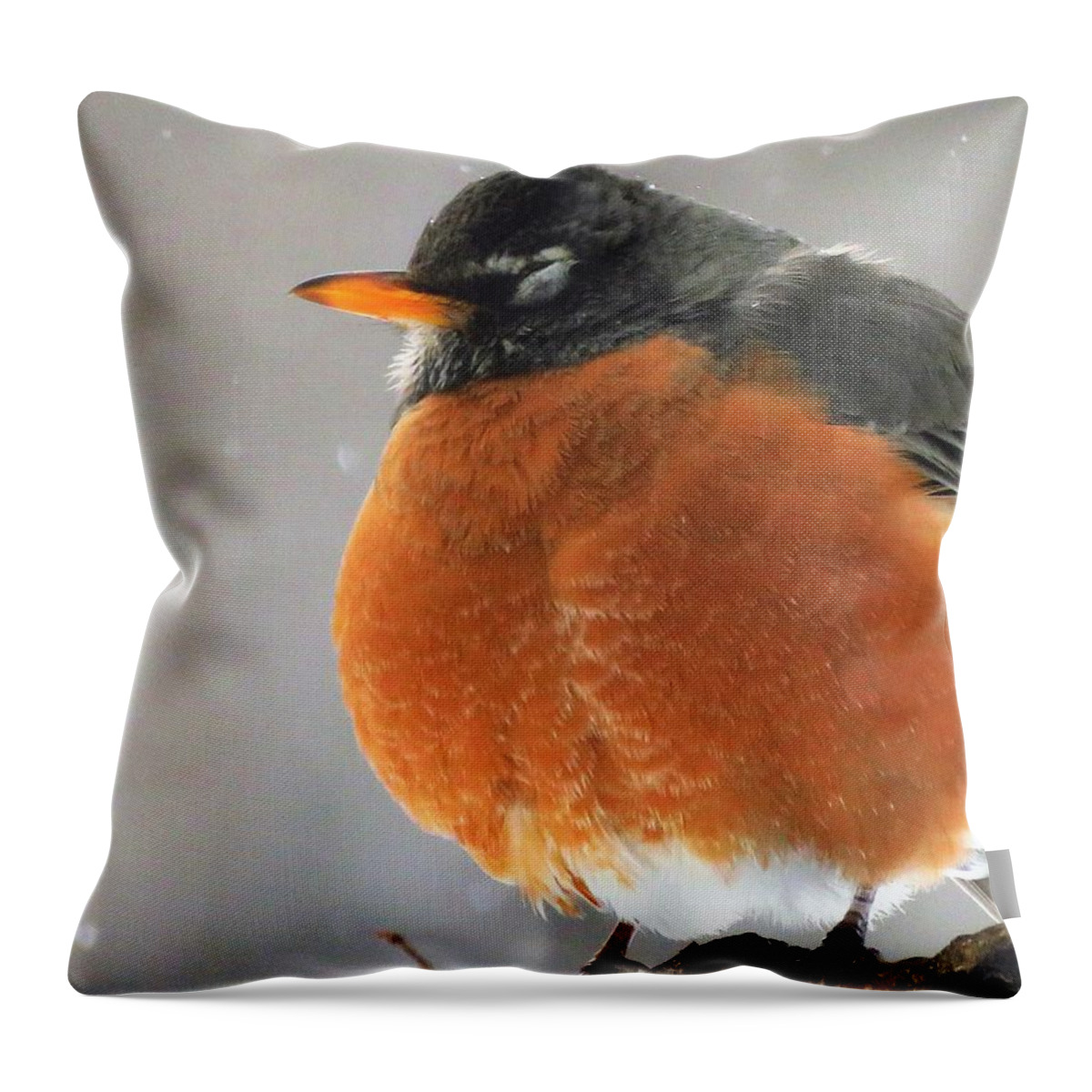 Birds Throw Pillow featuring the photograph Round Robin by Lori Frisch