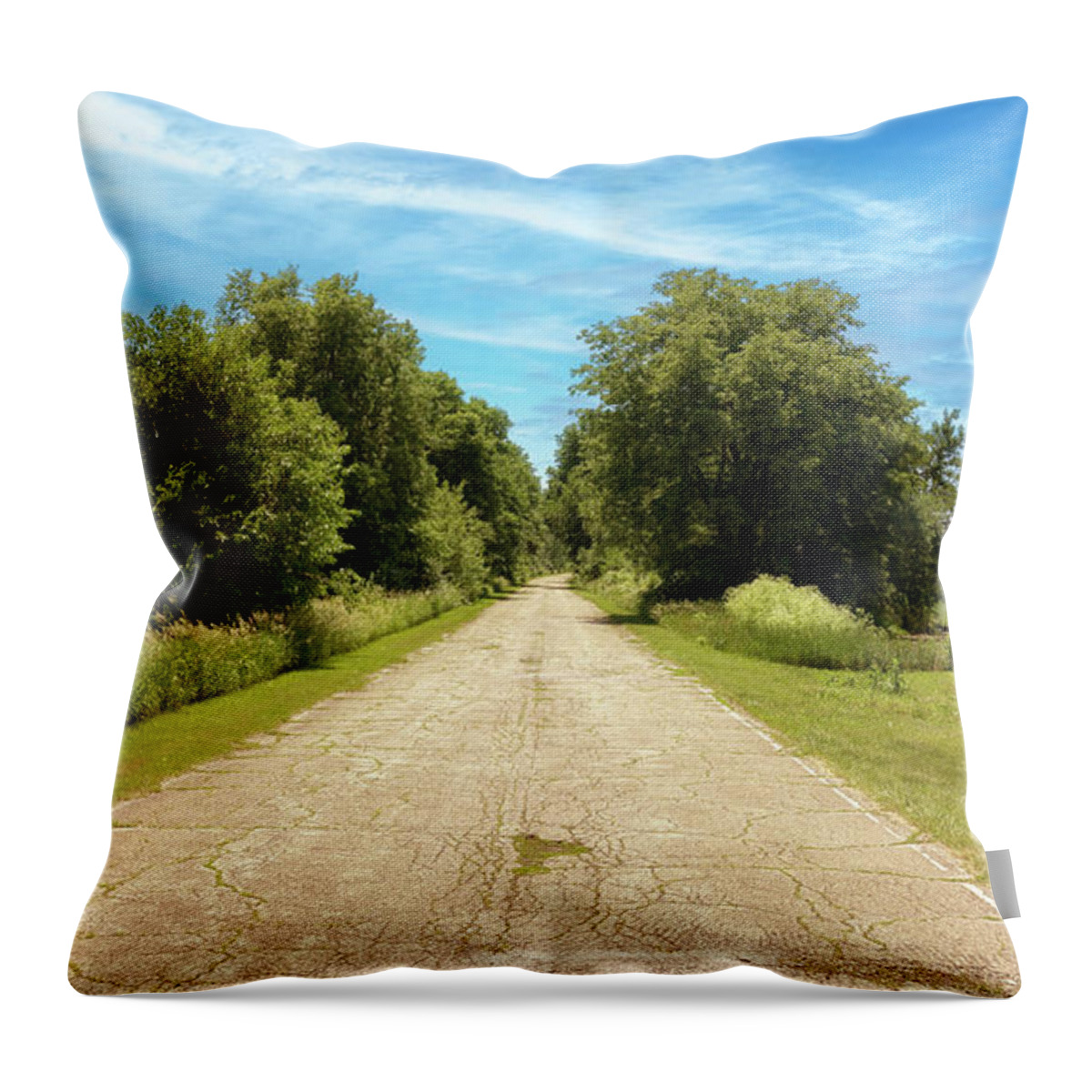 Route 66 Throw Pillow featuring the photograph Route 66 Memory Lane - Lexington, Illinois by Susan Rissi Tregoning