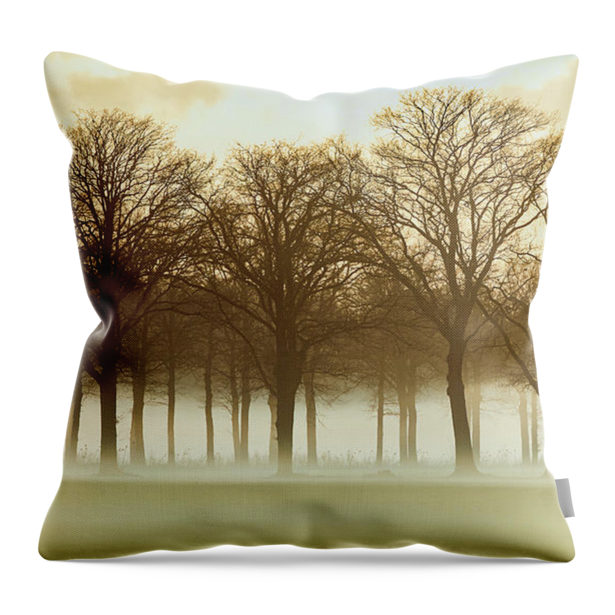 Row Trees Throw Pillow featuring the photograph Row trees in a low-hanging mist by Nick Biemans