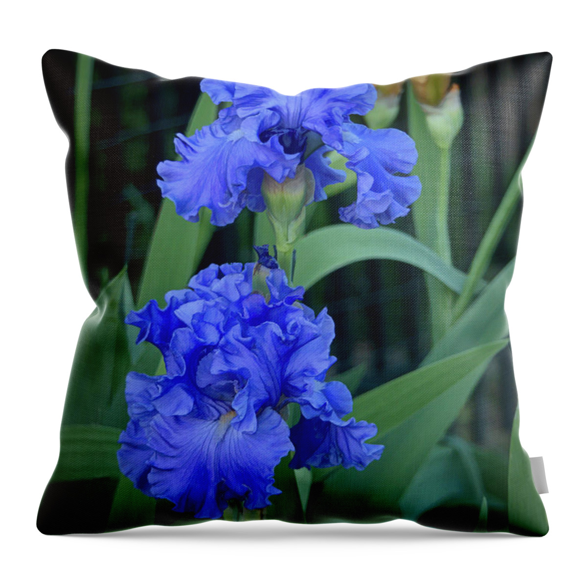 Iris Throw Pillow featuring the digital art Ruffled Blue Iris Duo by Amy Dundon