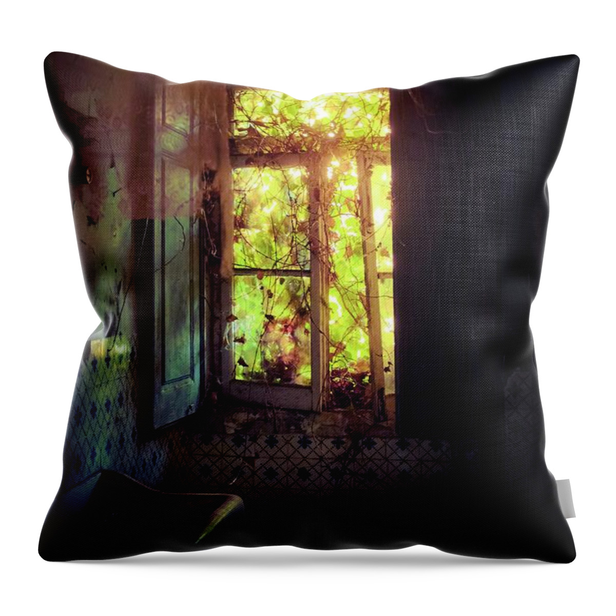 Abandoned Throw Pillow featuring the photograph Ruined Bathroom by Carlos Caetano