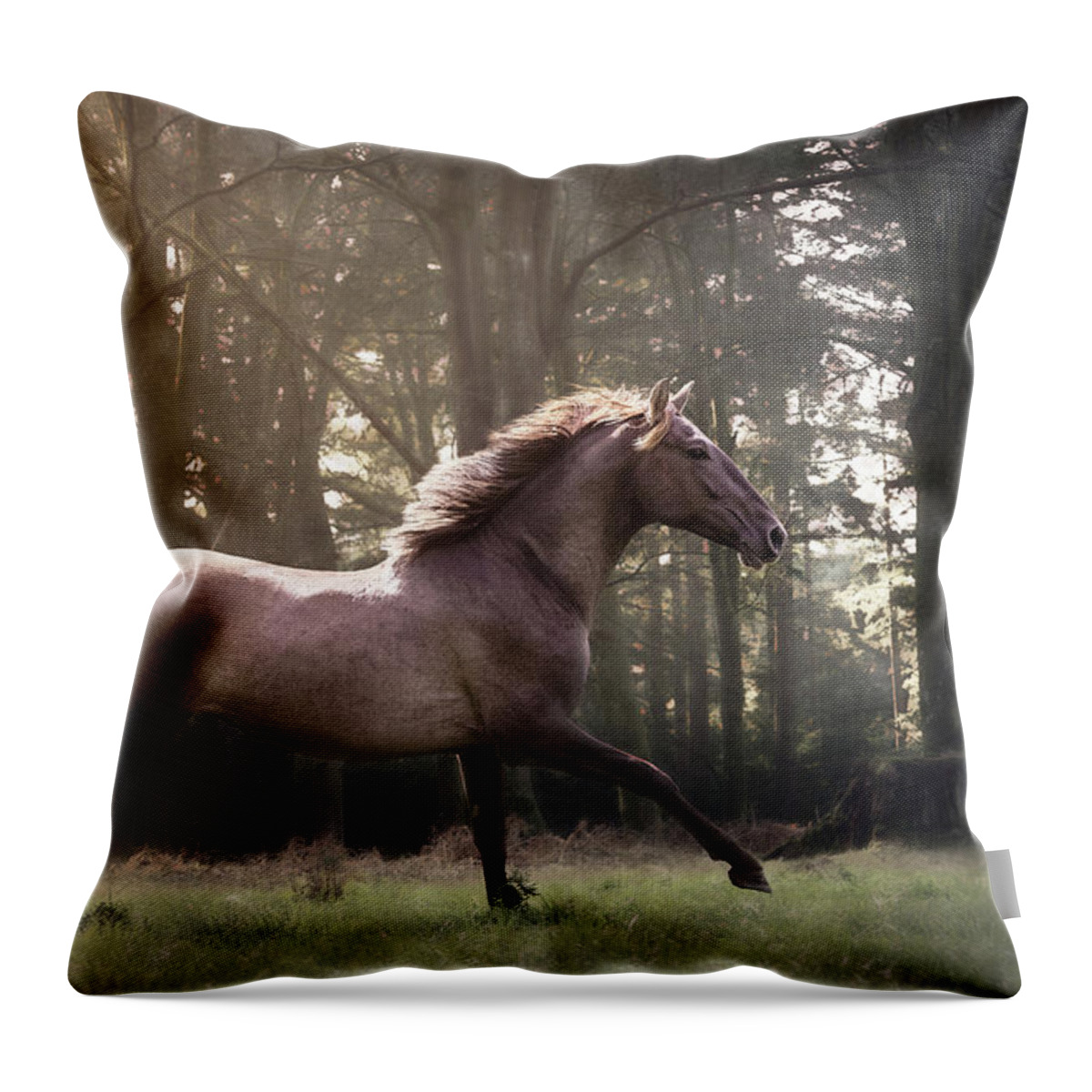 Horse Throw Pillow featuring the photograph Run after your dreams - Horse Art by Lisa Saint