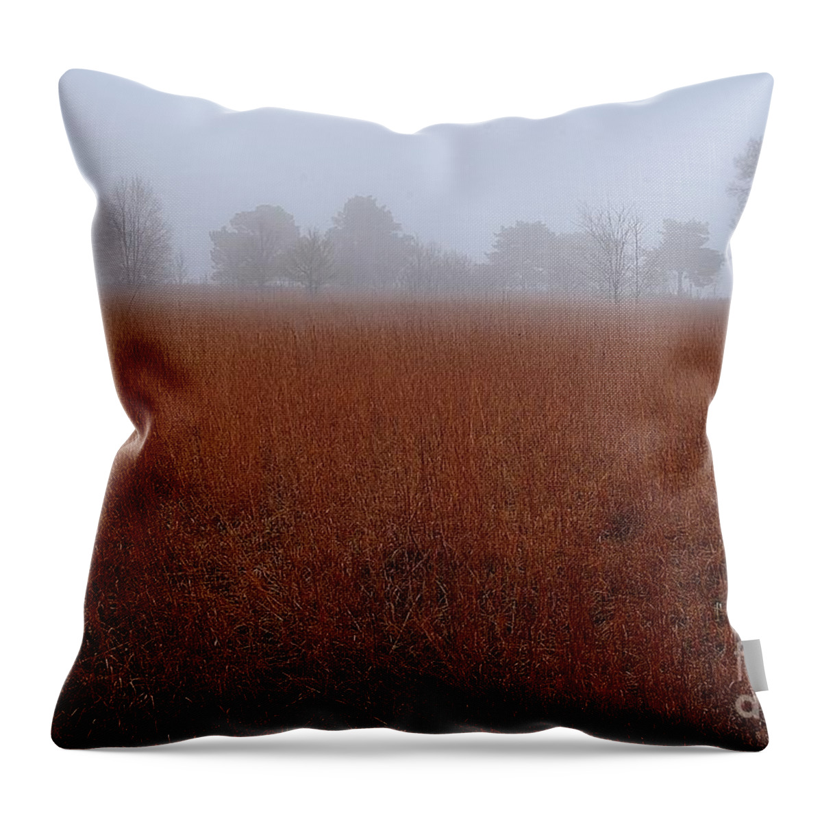 Field Throw Pillow featuring the photograph Rural Field and Trees by Randy Pollard