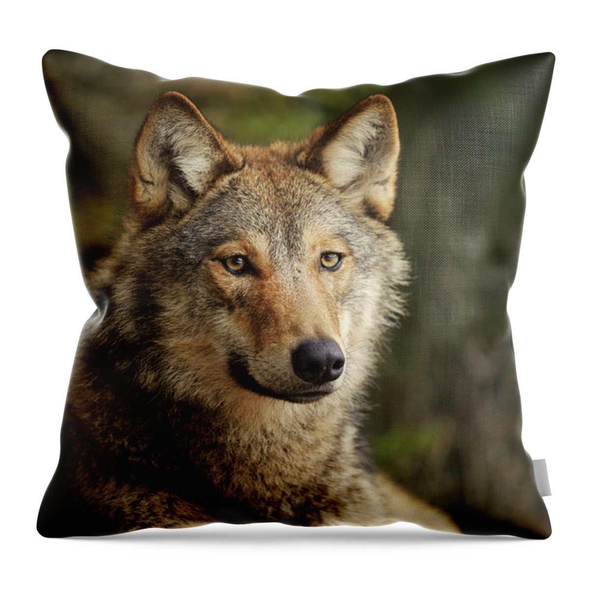 00582045 Throw Pillow featuring the photograph Russian Wolf by Sergey Gorshkov
