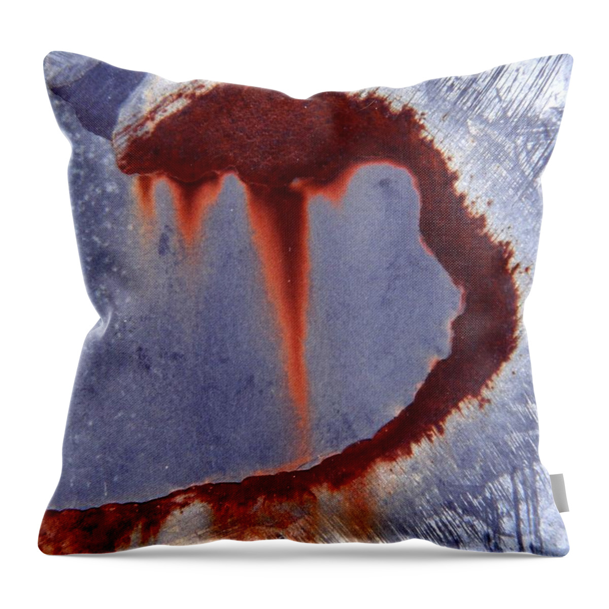 Photography Throw Pillow featuring the photograph Rust #1 by Stephanie Gambini