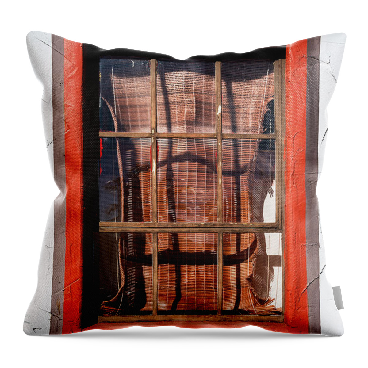 Historic Vintage Old Window Architecture Throw Pillow featuring the photograph Rustic Doors Windows Palm Springs 0392-100 by Amyn Nasser