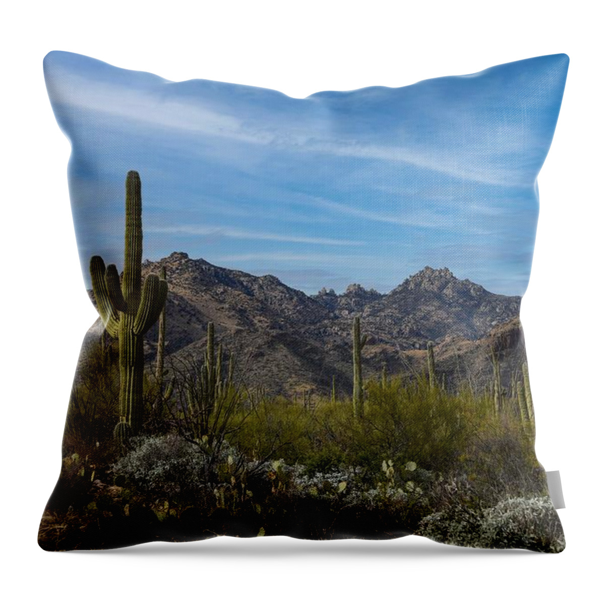 Sabino Arizona Throw Pillow featuring the digital art Sabino Arizona by Tammy Keyes