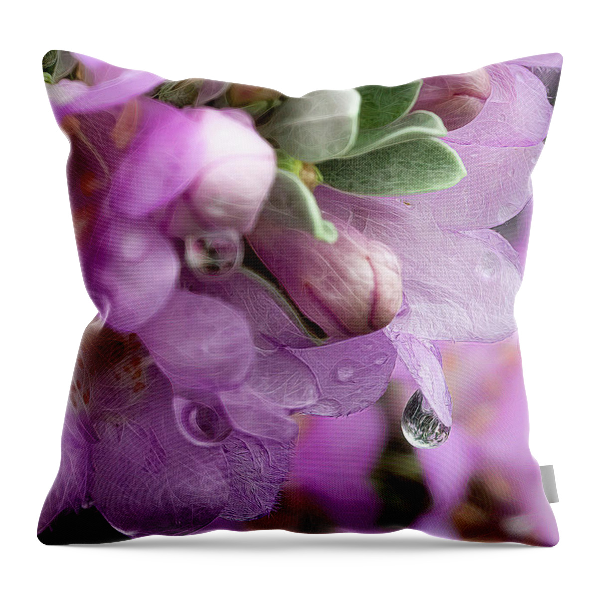 Sage Throw Pillow featuring the photograph Sage Bloom after the Rain by Cheri Freeman