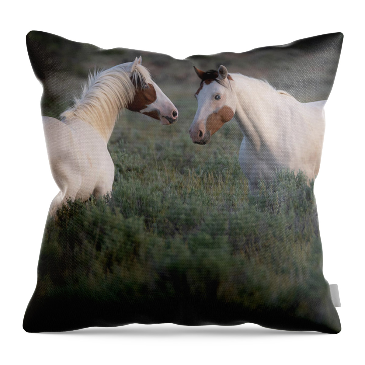 Wild Horses Throw Pillow featuring the photograph Sagebrush Angels by Mary Hone