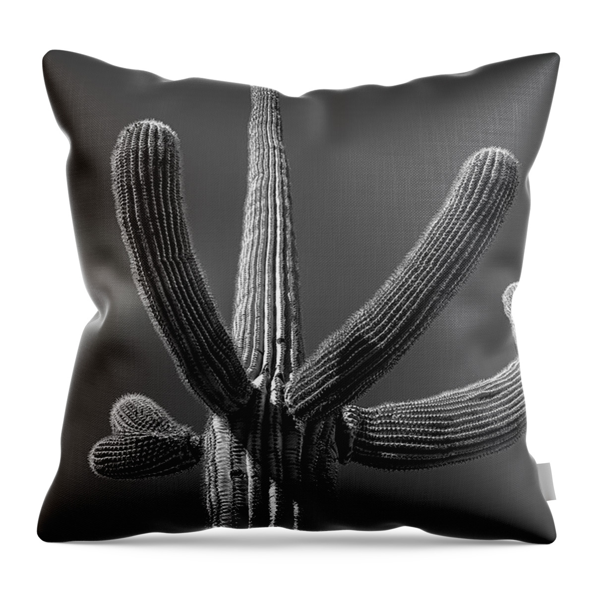Minimalism Throw Pillow featuring the photograph Saguaro #1 Selenuim by Jennifer Wright