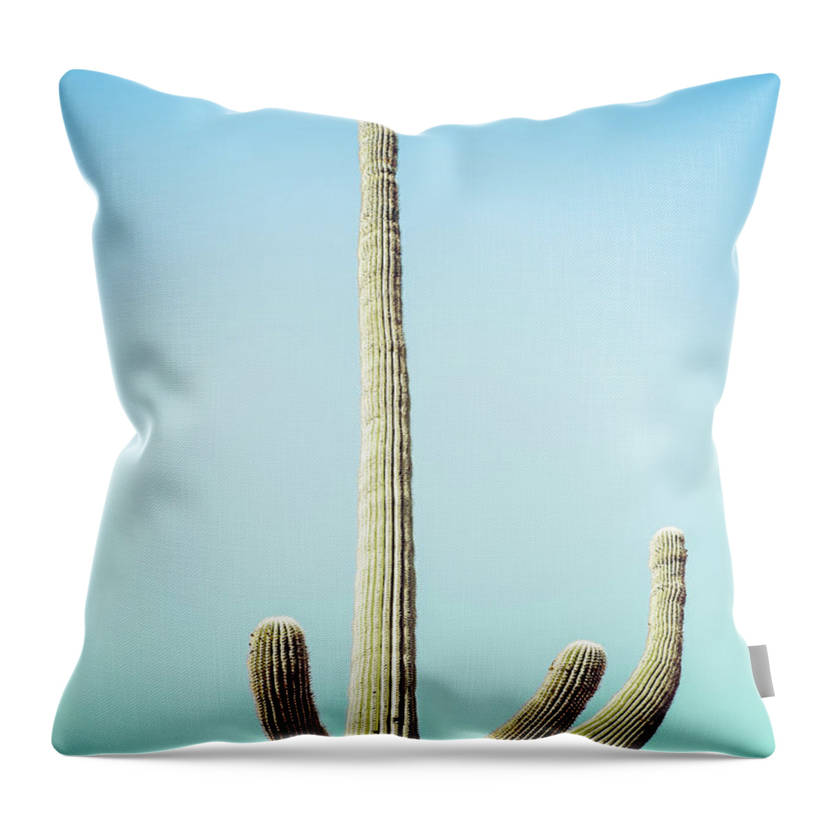 Atmospheric Throw Pillow featuring the photograph Saguaro #2 by Jennifer Wright