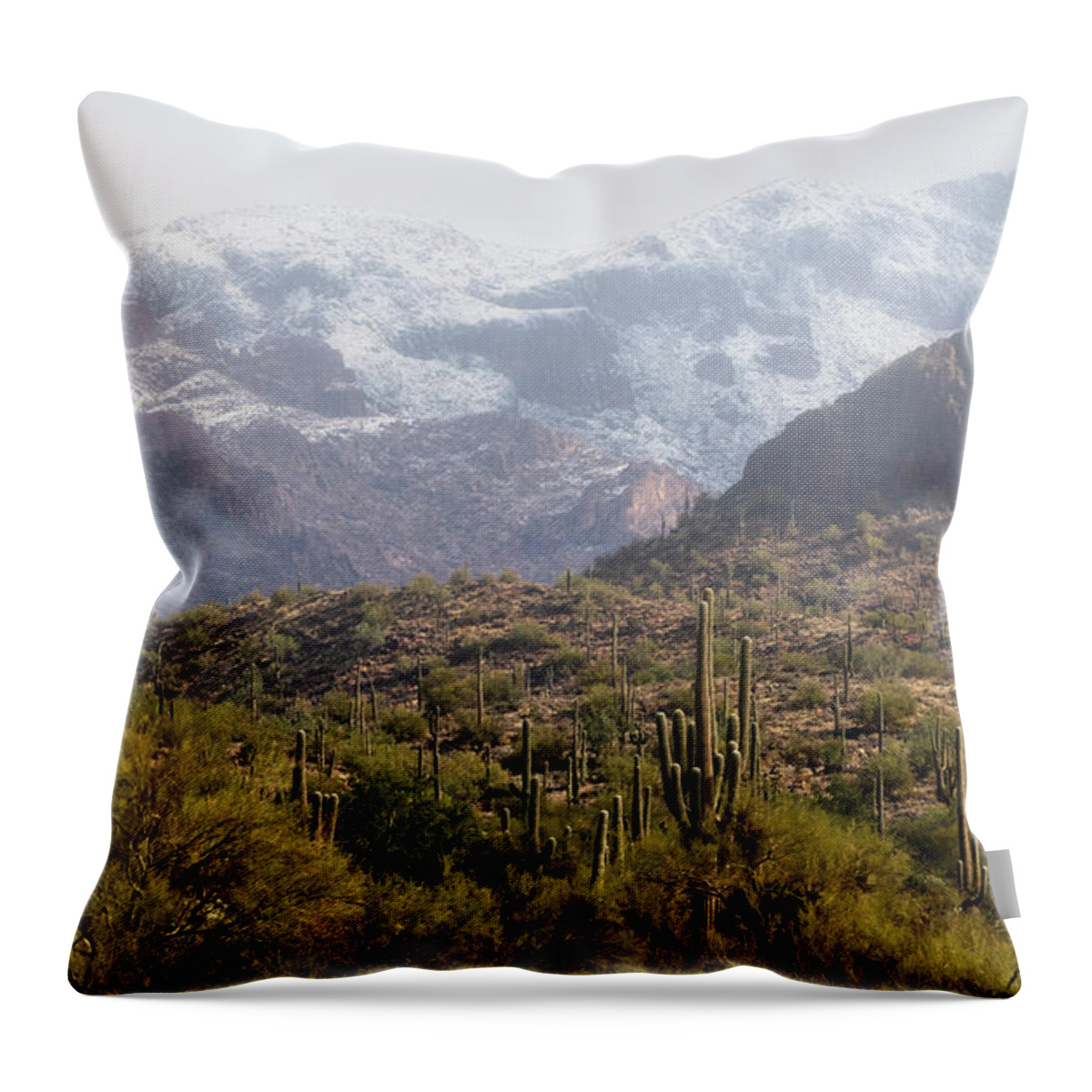 Arizona Throw Pillow featuring the photograph Saguaro Amongst The Hills Of Snow by Saija Lehtonen