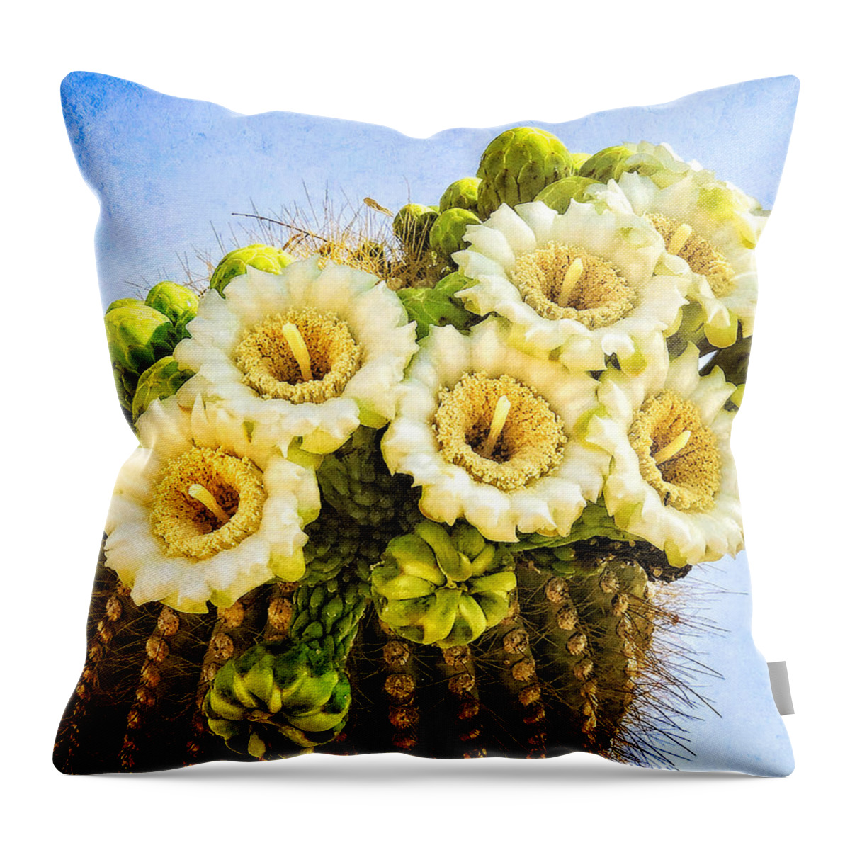 Saguaro Cactus Throw Pillow featuring the photograph Saguaro Cactus Blooms by Sandra Selle Rodriguez