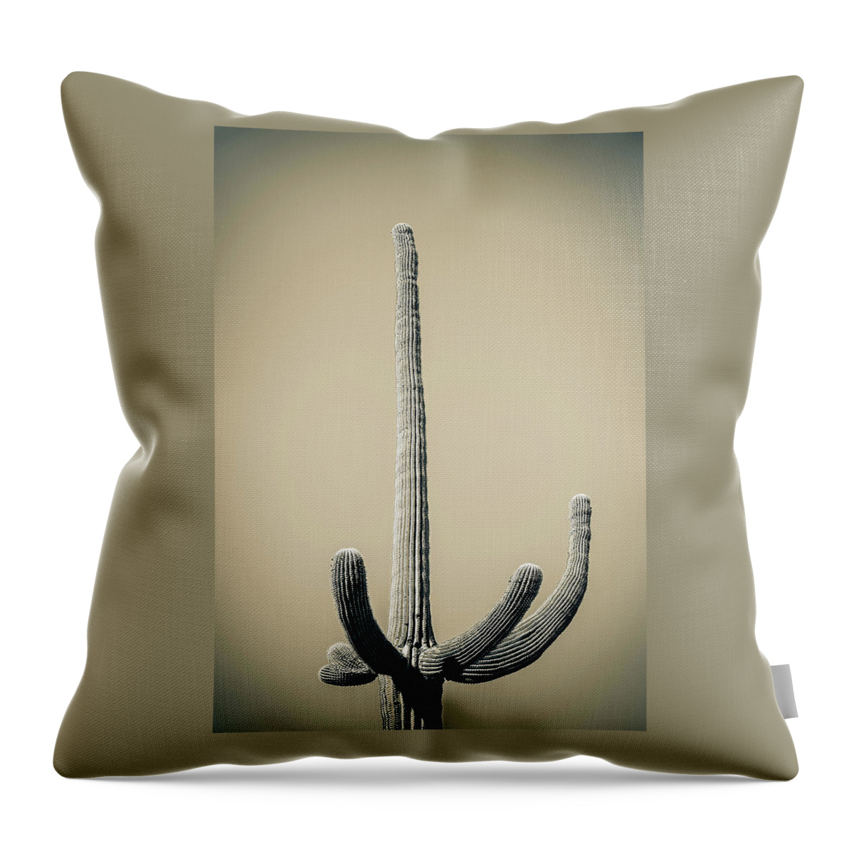 Atmospheric Throw Pillow featuring the photograph Saguaro Sepia by Jennifer Wright