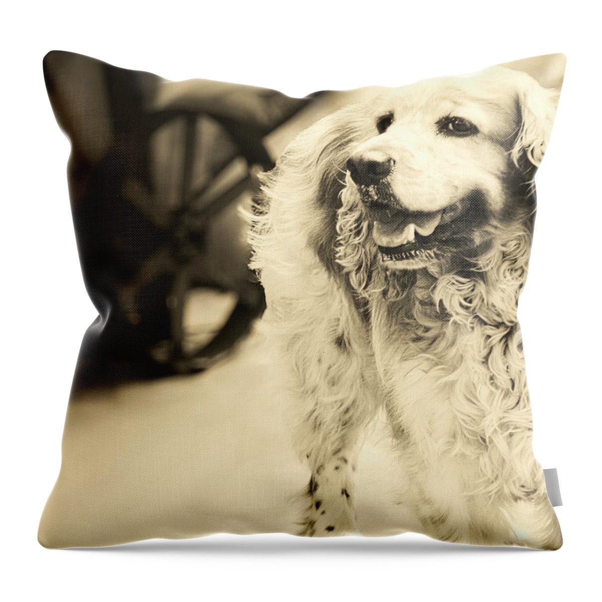 Art Throw Pillow featuring the digital art Saint Shaggy Art 10 by Miss Pet Sitter