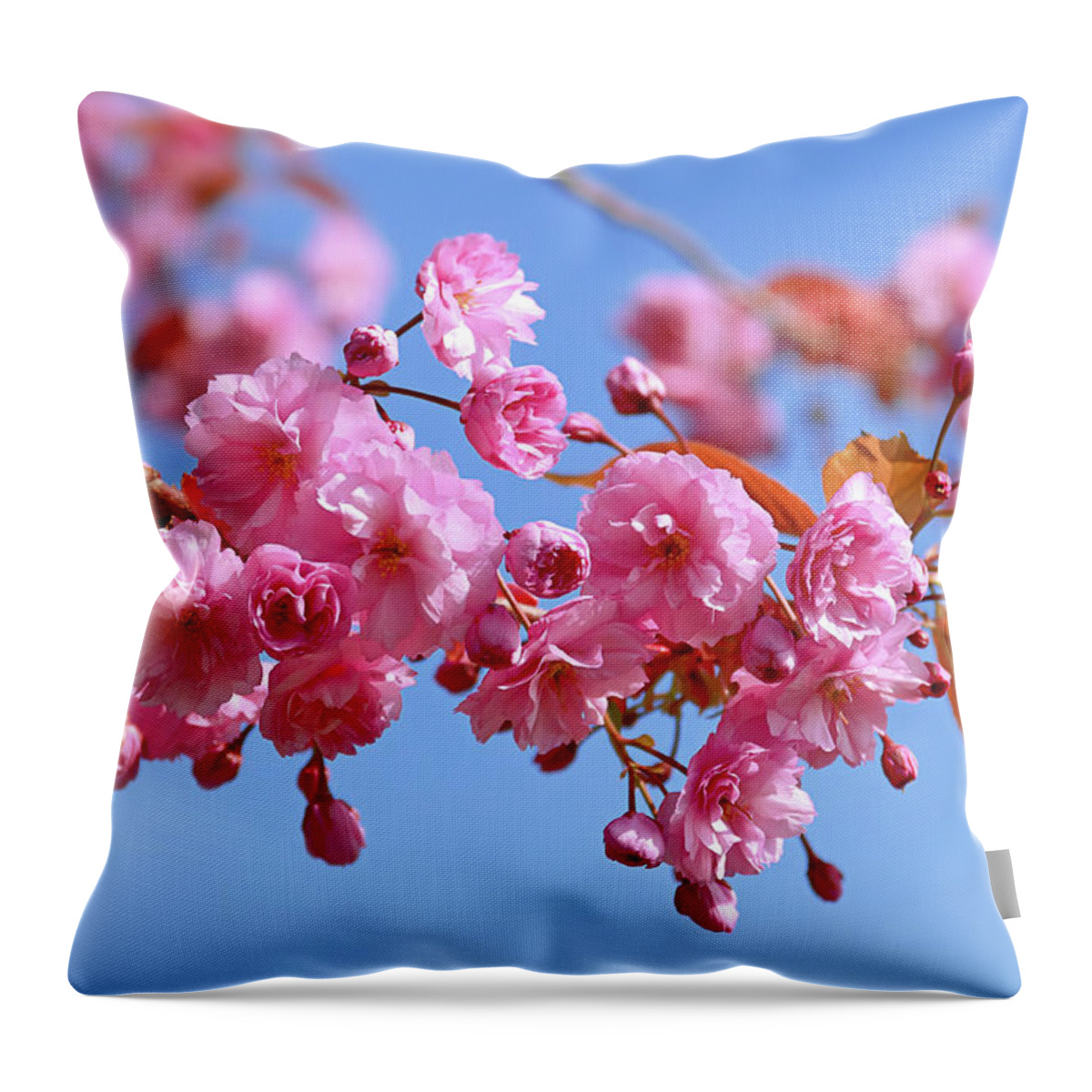 Pink Blossom Throw Pillow featuring the photograph Sakura in a blue sky by Maria Meester