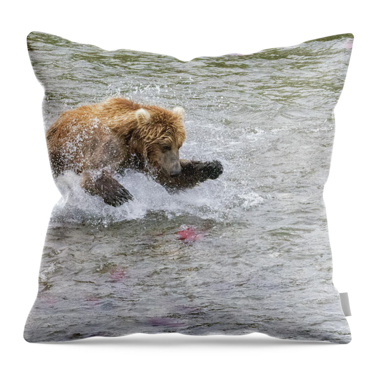 Alaska Throw Pillow featuring the photograph Salmon in Sight by Cheryl Strahl