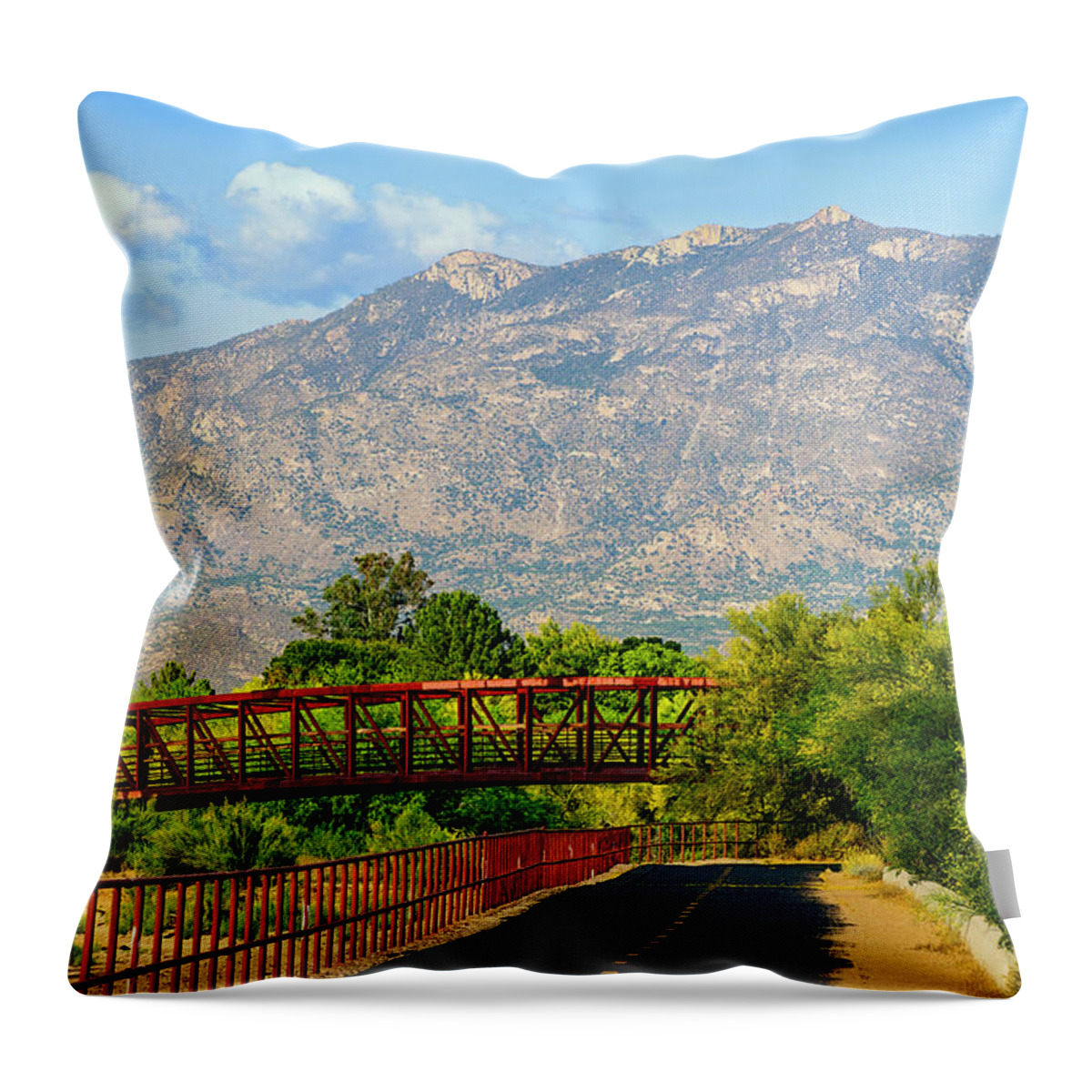 Arizona Throw Pillow featuring the photograph Samaniego Loop Vista 25097 by Mark Myhaver