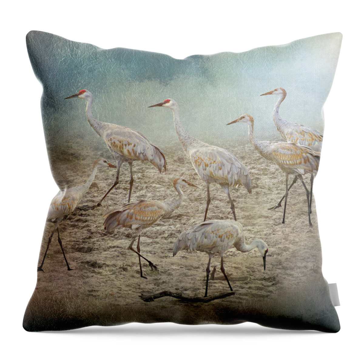 Birds Throw Pillow featuring the photograph Sandhill Crane Beach Gathering by Patti Deters