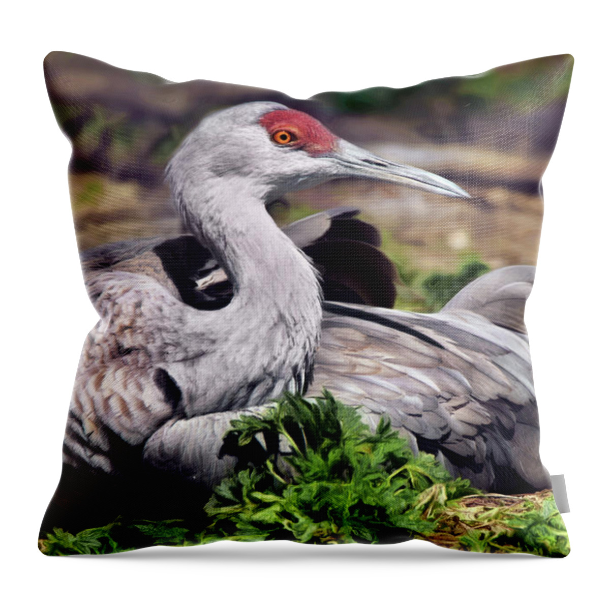 Sandhill Crane Throw Pillow featuring the photograph Sandhill Crane - Sitting by Nikolyn McDonald