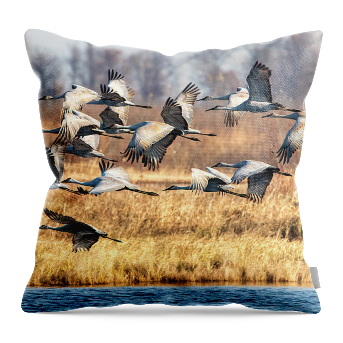 Sandhill Throw Pillow featuring the photograph Sandhill Cranes by Al Mueller