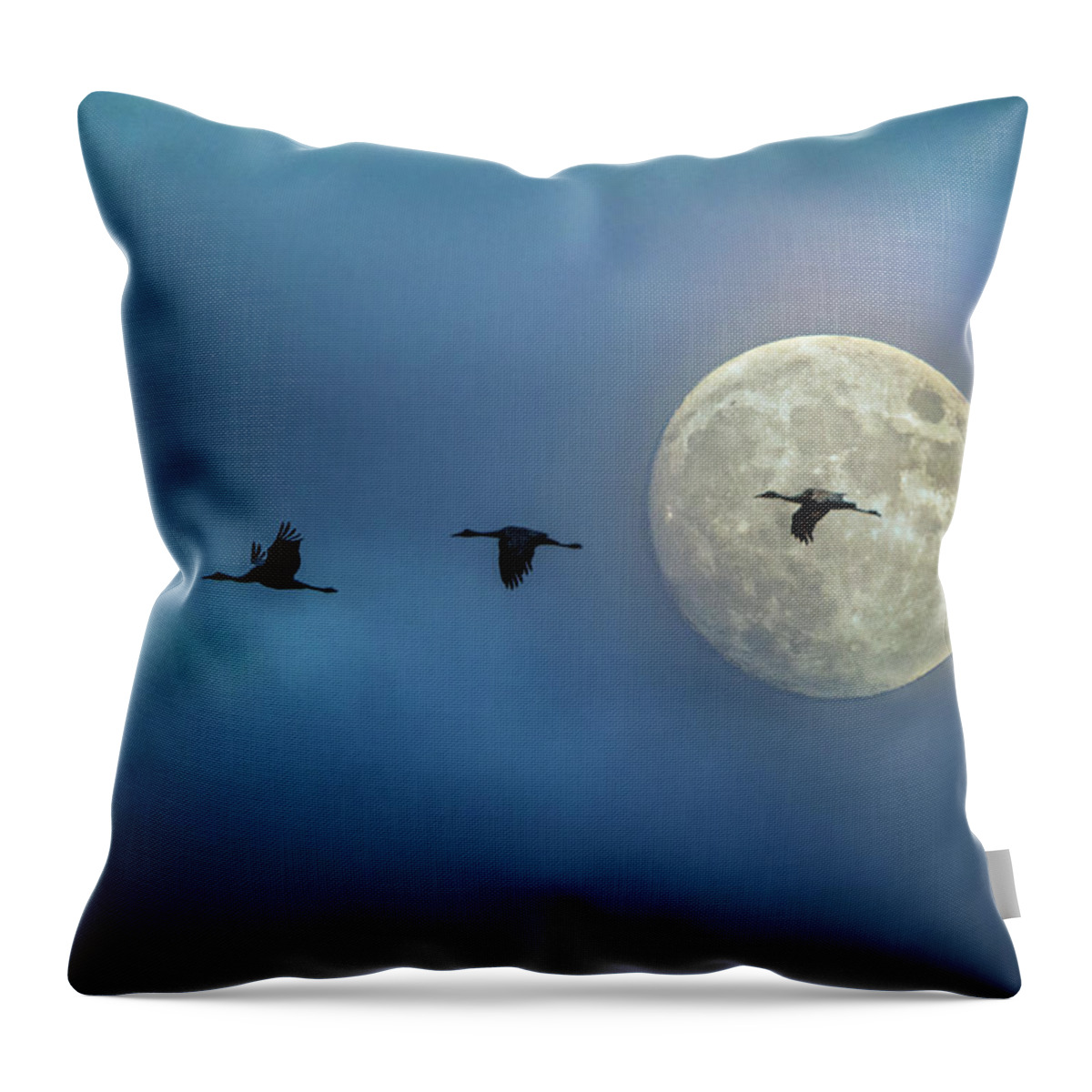 Sky Throw Pillow featuring the photograph Sandhill Cranes with Full Moon by Patti Deters