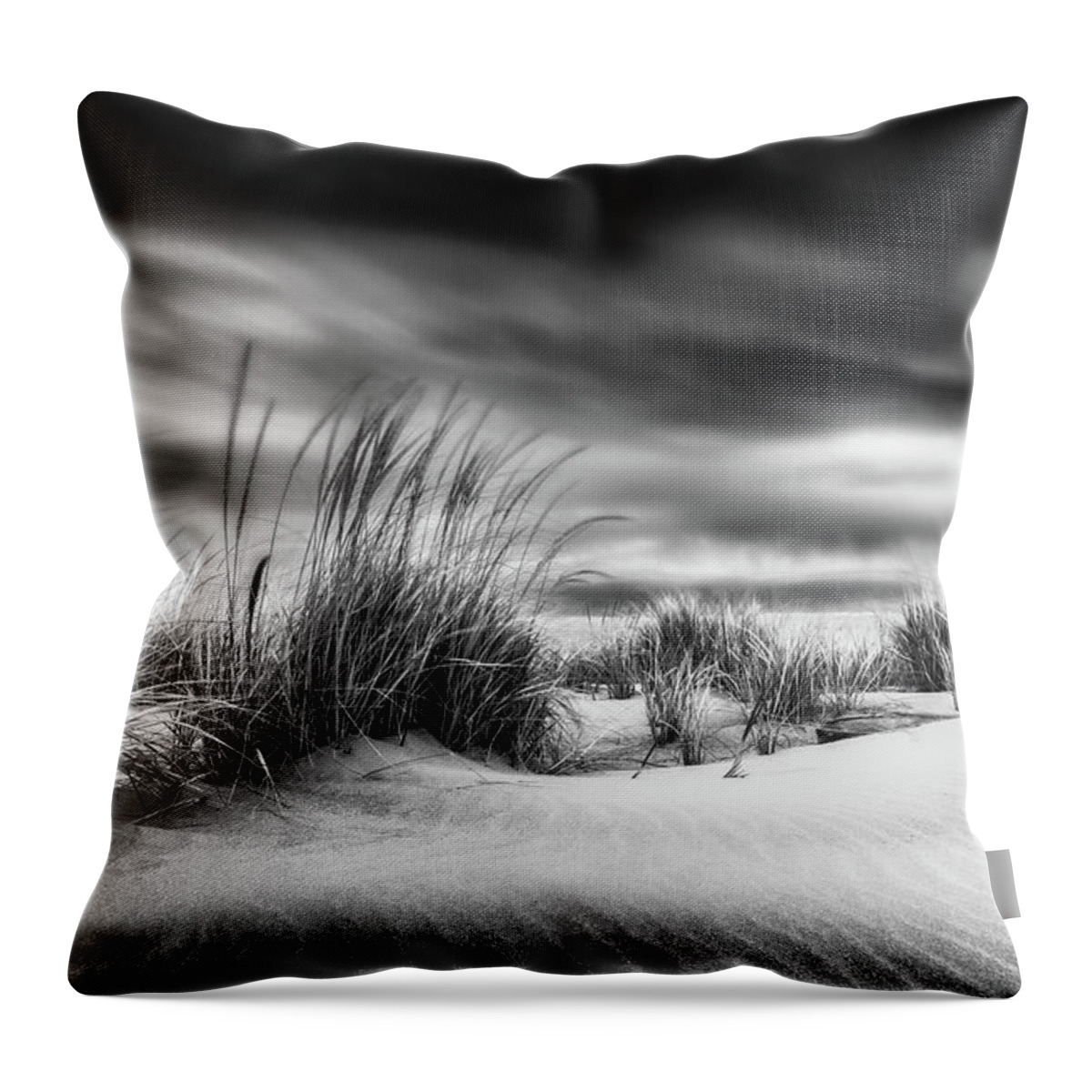 Plum Island Throw Pillow featuring the photograph Sandy Point Storm, Plum Is. by Michael Hubley