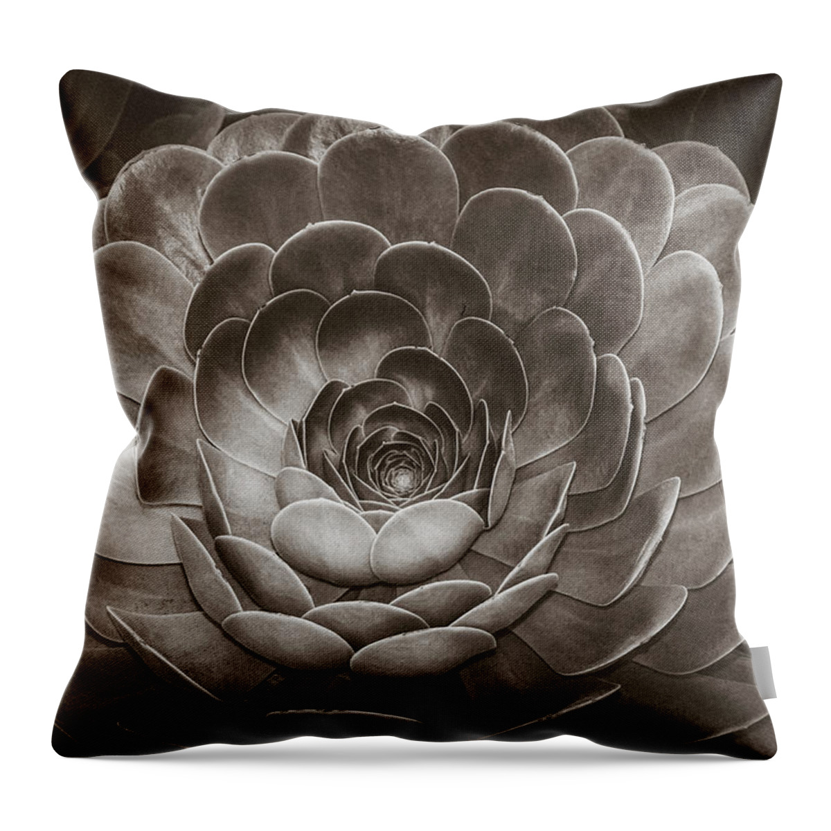 Zen Throw Pillow featuring the photograph Santa Barbara Succulent#16 by Jennifer Wright