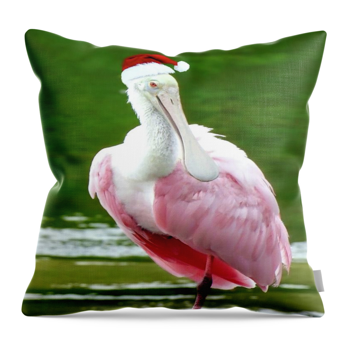 Santa Hat Throw Pillow featuring the photograph Santa Spoonbill by Beth Myer Photography