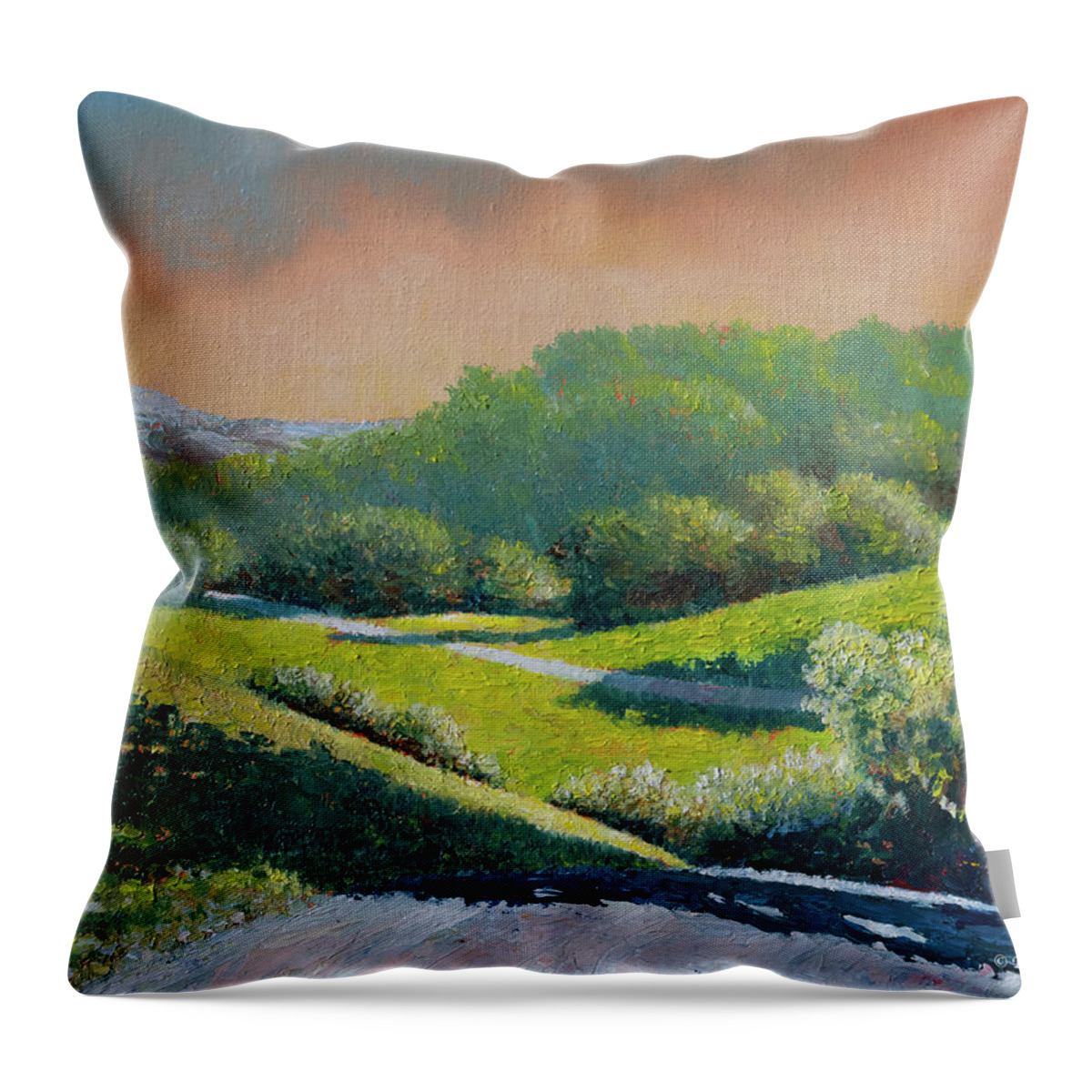 Landscape Throw Pillow featuring the painting Santa Ynez Spring Morning by Douglas Castleman