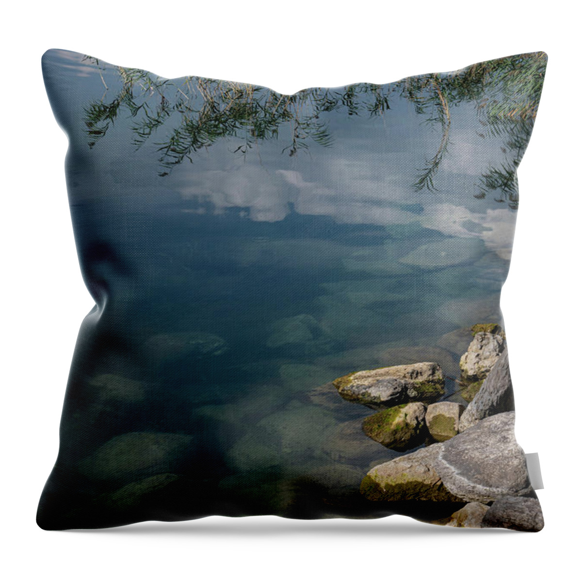 Lake Sapanca Lake Throw Pillow featuring the photograph Sapanca Lake Ditch Weed by Bob Phillips
