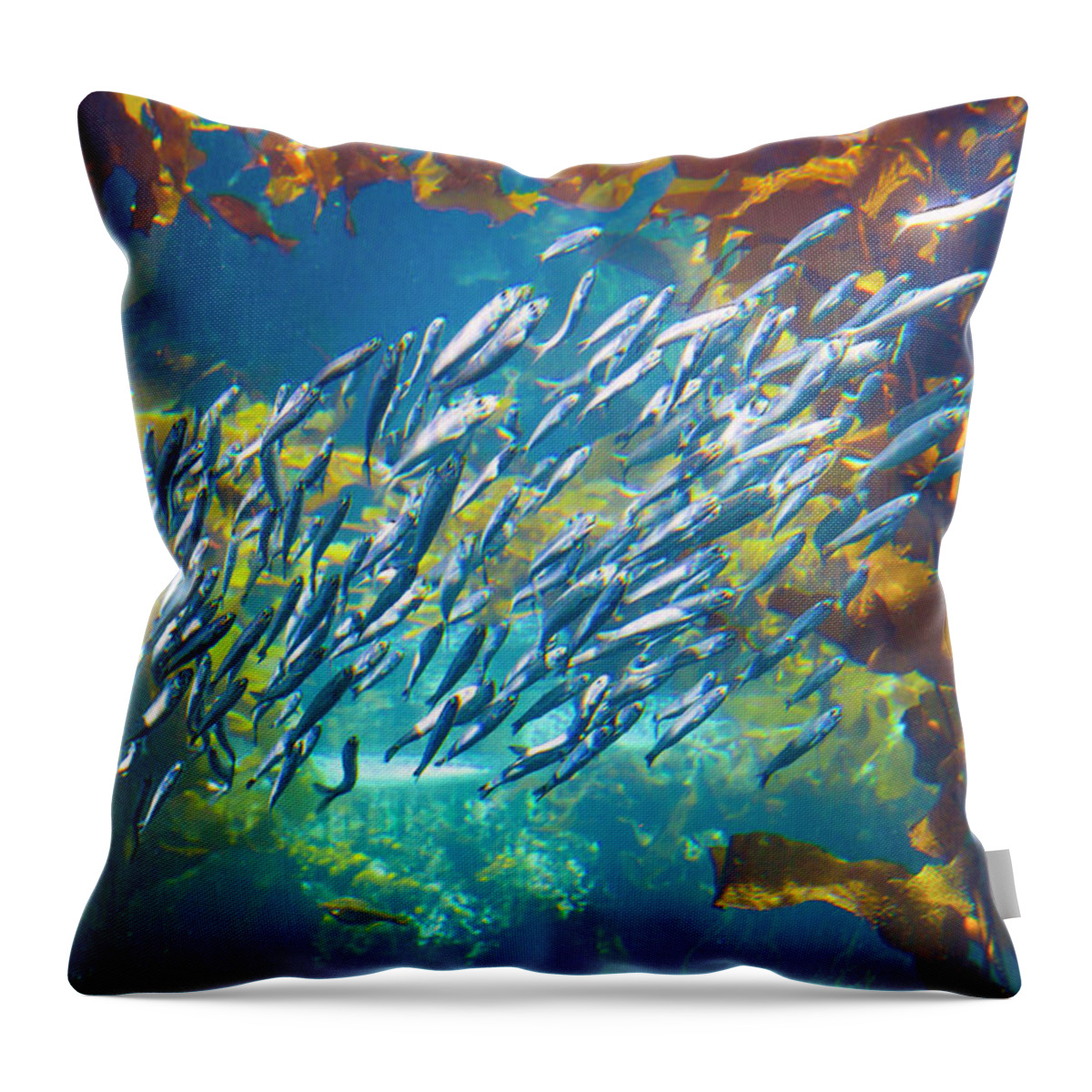 Sardines Throw Pillow featuring the photograph Sardines and Anchovies in Kelp by Bonnie Follett