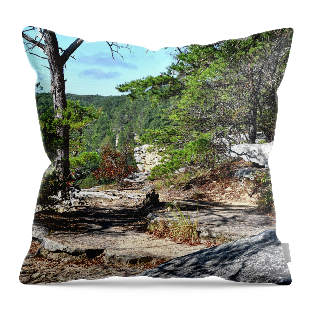 Savage Gulf Throw Pillow featuring the photograph Savage Gulf 25 by Phil Perkins