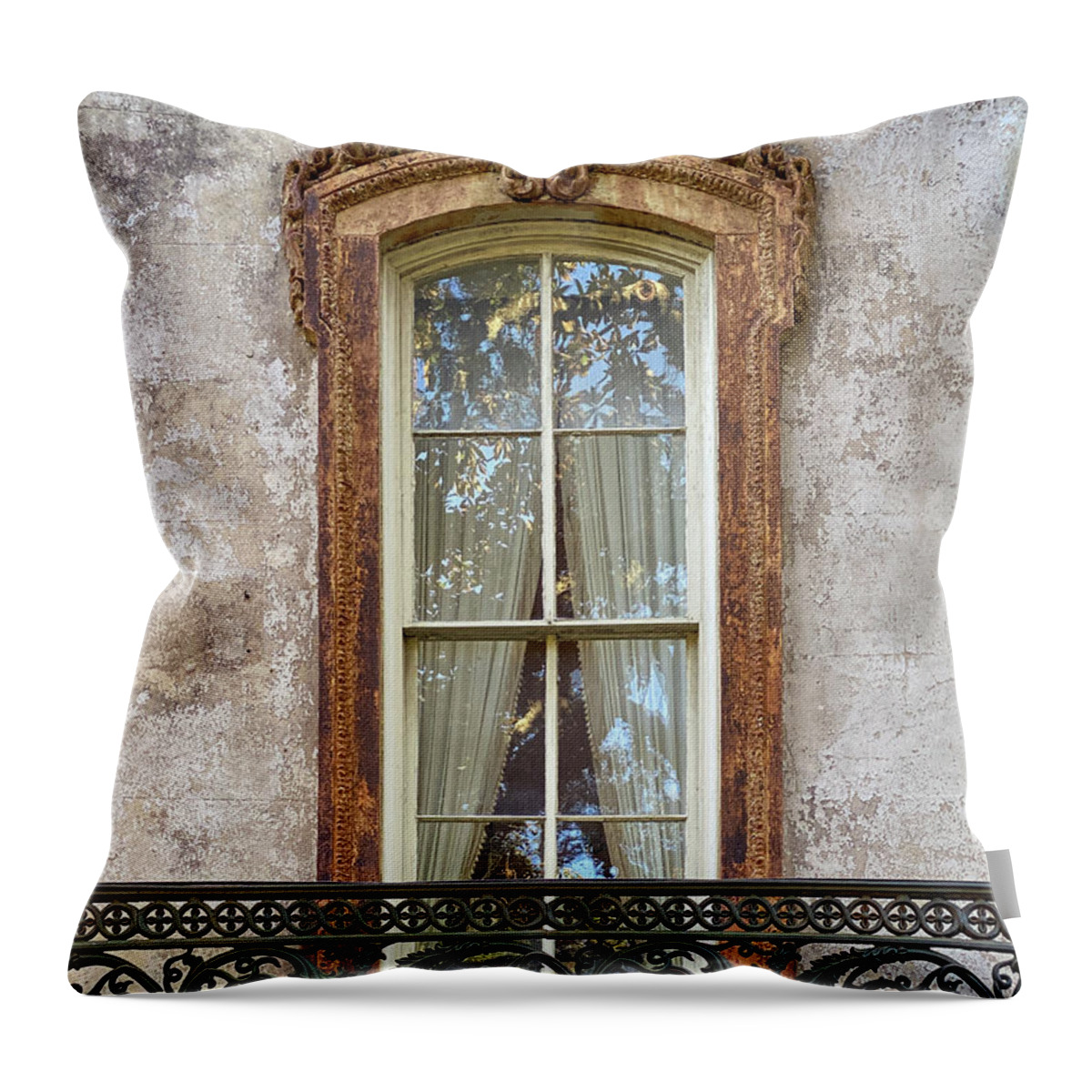Window Throw Pillow featuring the photograph Savannah Gilded Window by Dawna Moore Photography