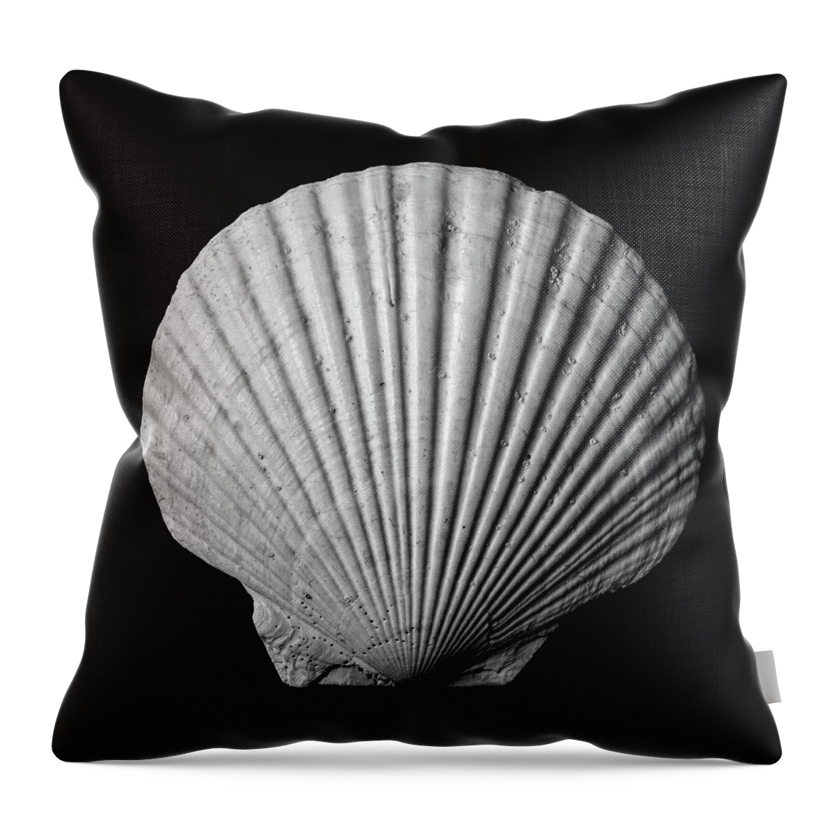 Sea Shell Throw Pillow featuring the photograph Scallop Seashell by Jim Hughes