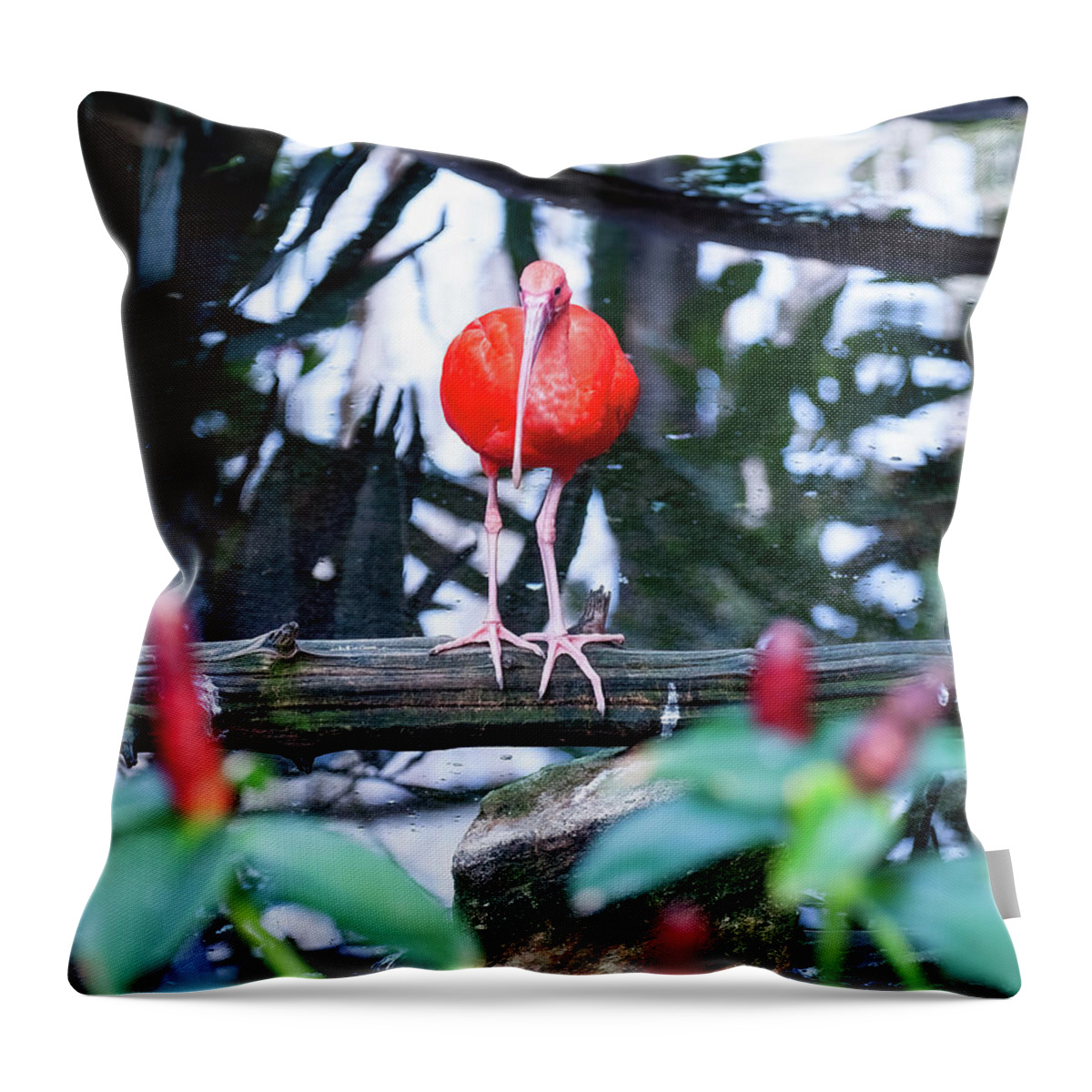 Scarlet Ibis Throw Pillow featuring the photograph Scarlet Ibis 04 by Flees Photos