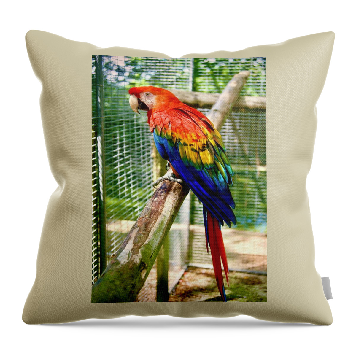  Throw Pillow featuring the photograph Scarlet Macaw by Gordon James