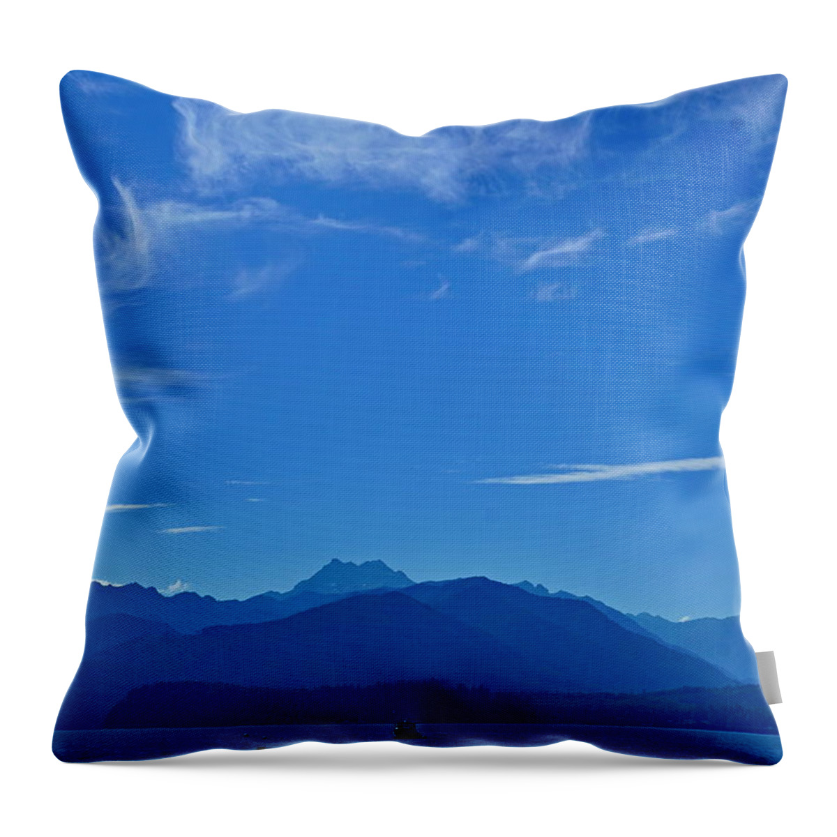Landscape Throw Pillow featuring the photograph Scenic Beach State Park by Bill TALICH