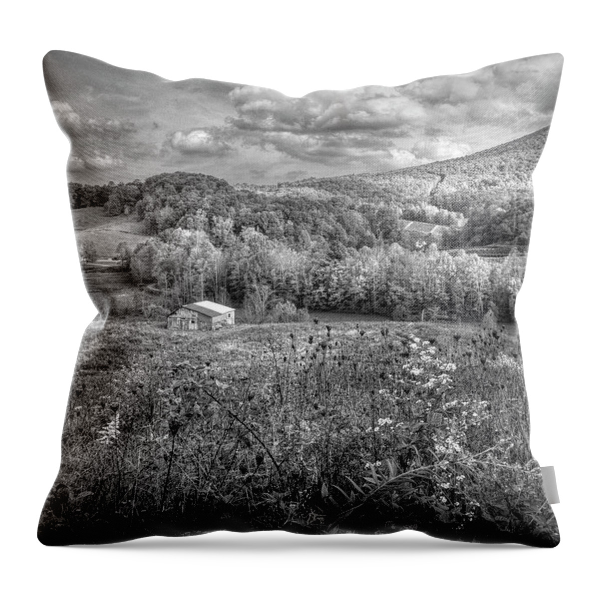 Barns Throw Pillow featuring the photograph Scenic Overlook along the Creeper Trail Damascus Virginia Black by Debra and Dave Vanderlaan