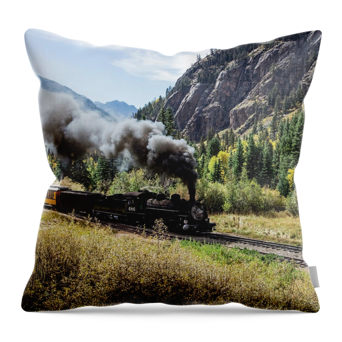 Transport Throw Pillow featuring the photograph Scenic Railroad train by Mango Art
