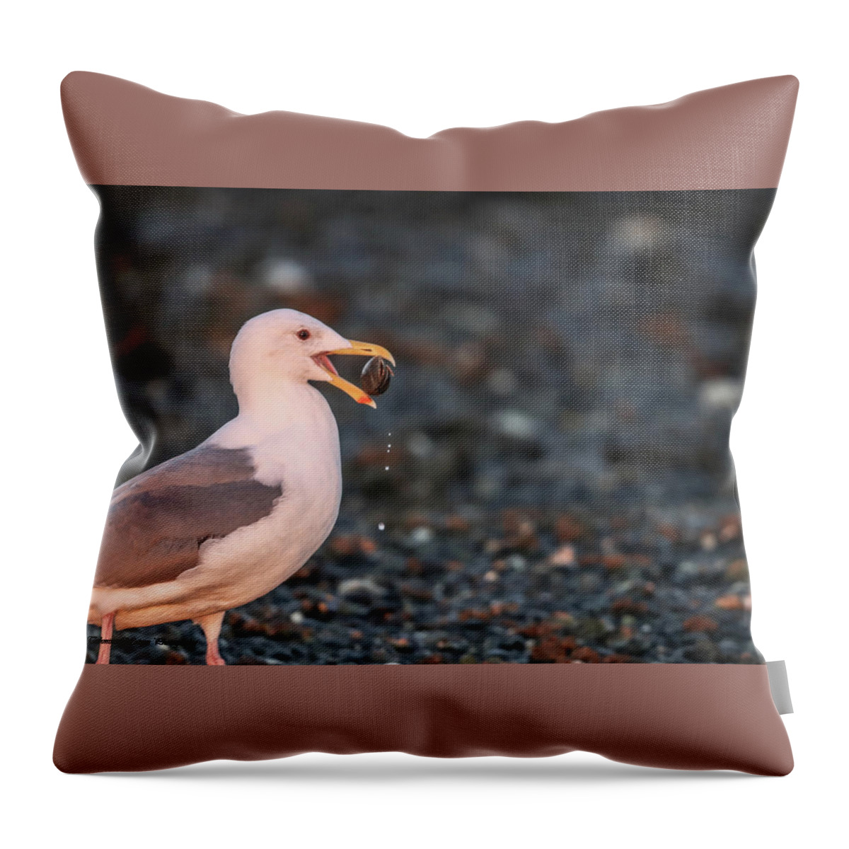Sea Gull Throw Pillow featuring the photograph Sea Gull and The Pebble by Tahmina Watson