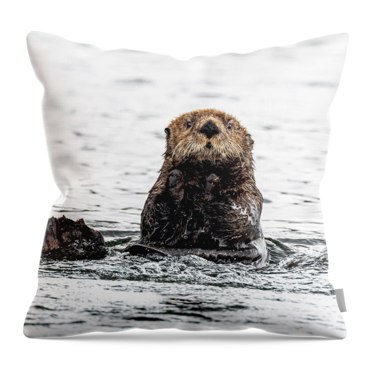 Sea Otter Throw Pillow featuring the photograph Sea Otter by Ian Stotesbury