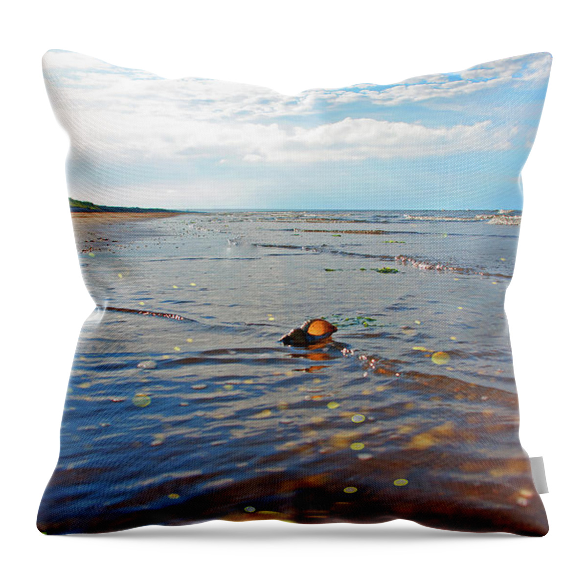 Pendine Throw Pillow featuring the photograph Sea Shell by Graham Lathbury