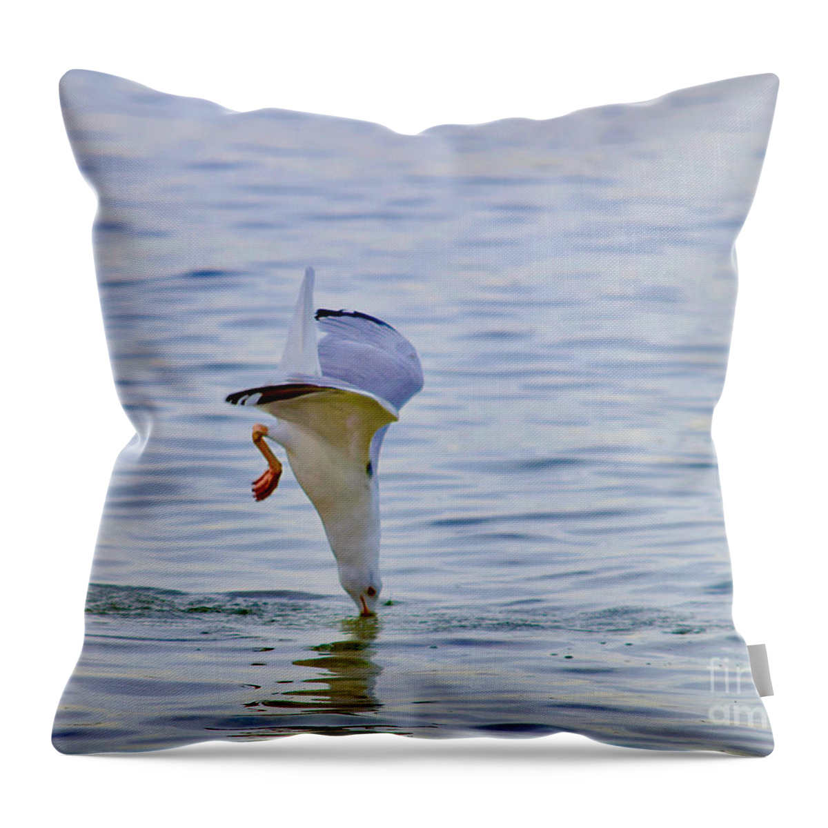 Seagull Throw Pillow featuring the photograph Seagull Ocean Nose Dive by Debra Banks