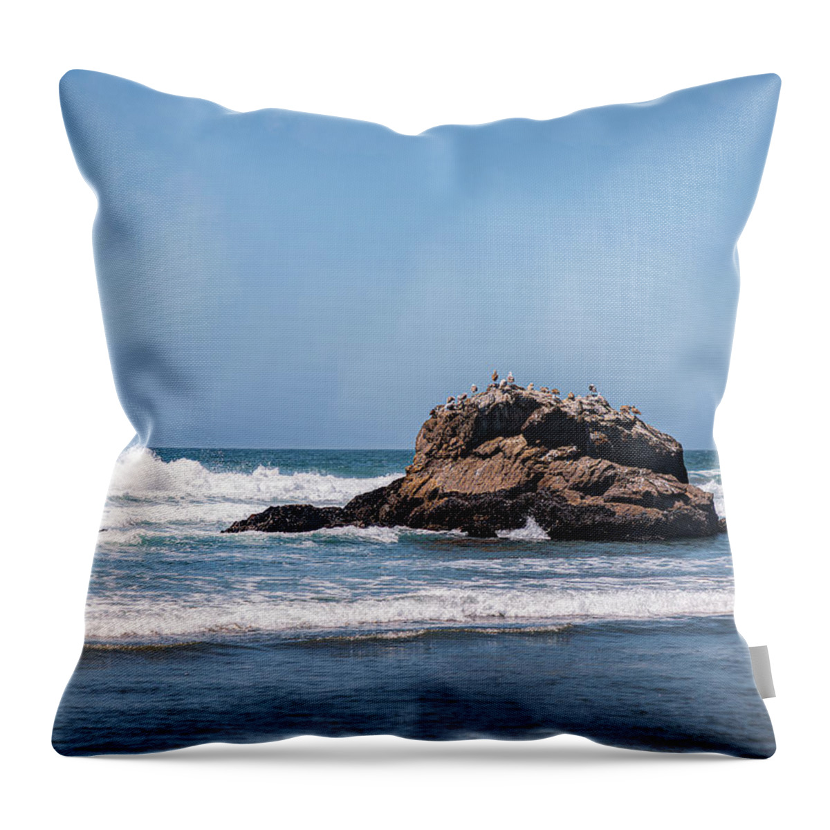 2020 Throw Pillow featuring the photograph Seagulls At The Beach by Ant Pruitt