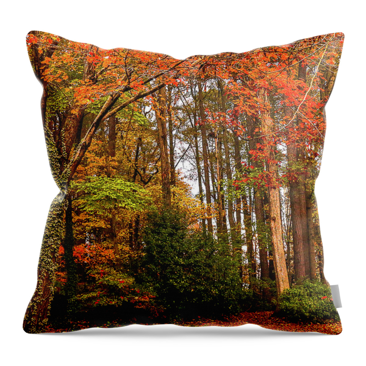 Trees Throw Pillow featuring the photograph Season of Colors by Ola Allen