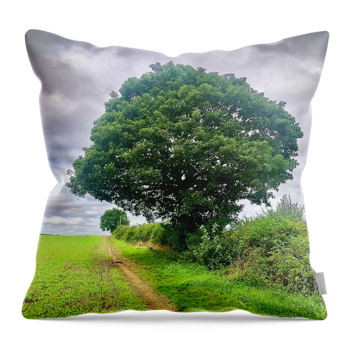 Seasons Throw Pillow featuring the photograph Season Tree July 2022 by Gordon James