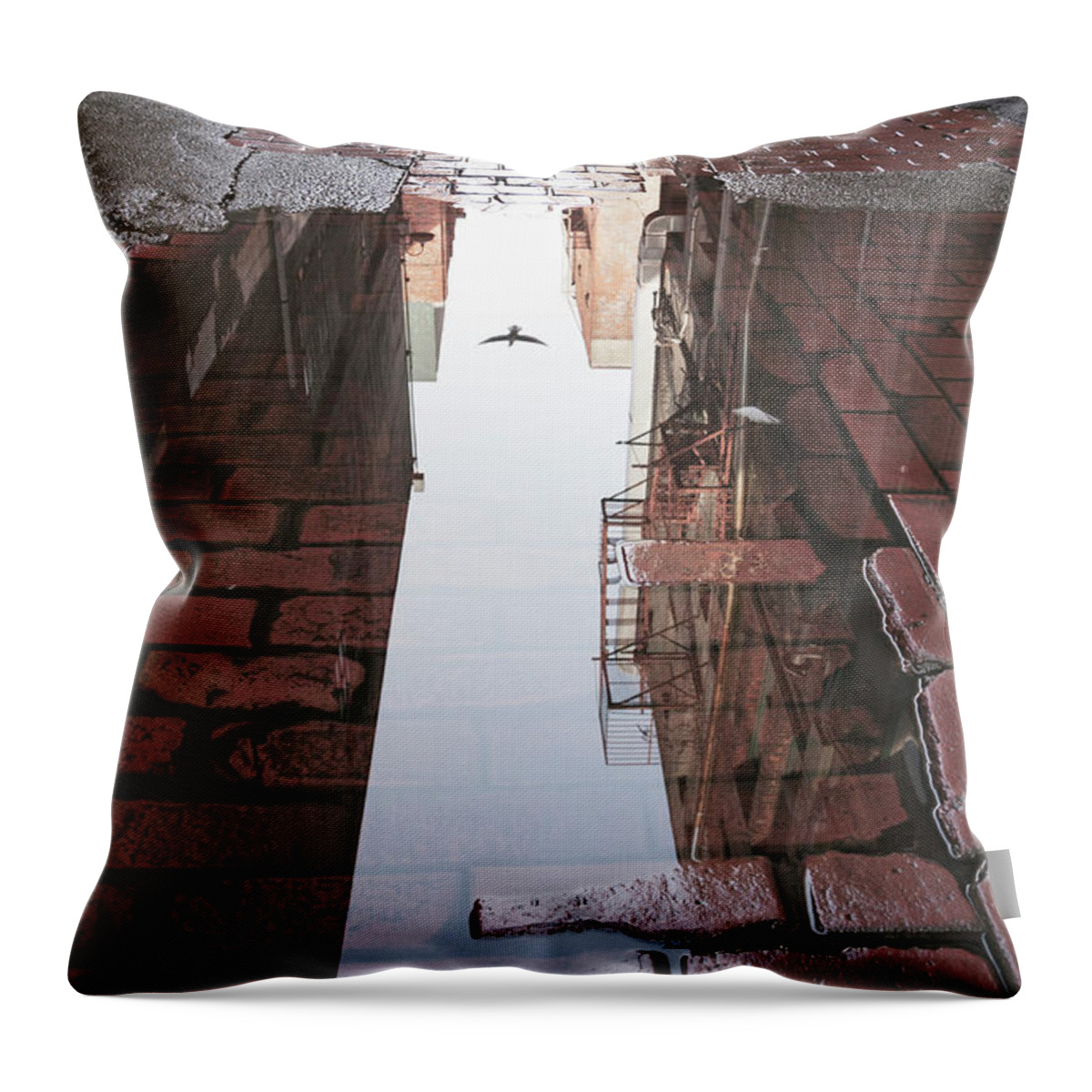 Seattle Throw Pillow featuring the photograph Seattle Pigeon Reflected in Water by William Dunigan